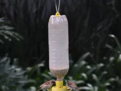 Bird Feeder (with soda bottle thread)