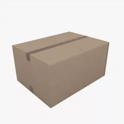 Cardboard box 3D model