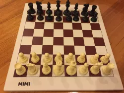 Chessboard Queen & Rook