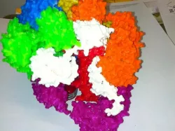 Clamp loader complex from bacteriophage T4