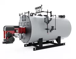 Firetube LPS Boiler