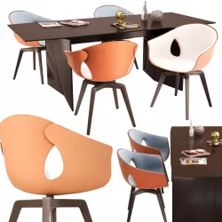 GINGER and PALIO 3D model