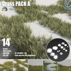  Grass pack A Low-poly  3D model