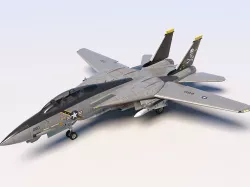 Grumman F-14 Tomcat 3D model