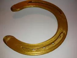 Horse shoe