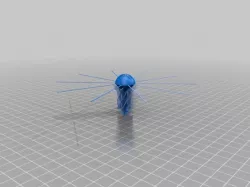 Jellyfish