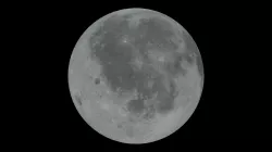 Moon Model 3D model