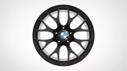 RIM. modeling