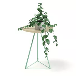 Round Table with a Plant 3D model