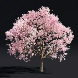 Sakura 1 3D model