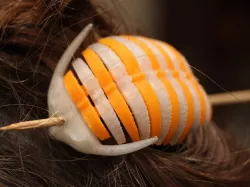 Skewered Trilobite Hair Clip (small, simplified, plated)