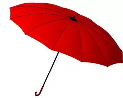 Umbrella