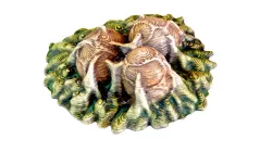 Alien Eggs V1