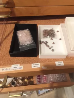 Bead Holder/Sorter