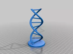 DNA Model 2.0