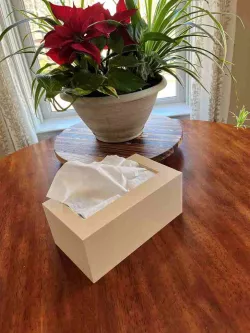 Kleenex Dispenser