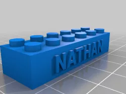 NATHAN LEGO RAISED