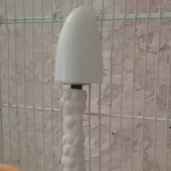 Bird chalk holder