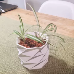 Low poly flower pot