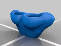 Nase Vase