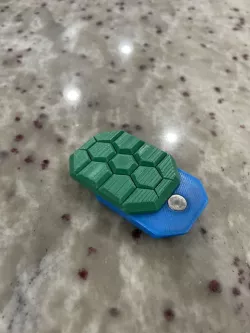 Turtle Shell Magnet Fidget