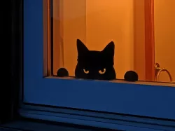 Angry Guard Cat