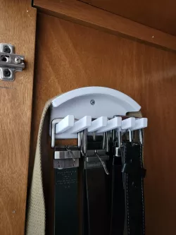 Belt organizer