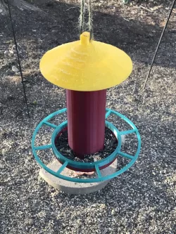 Bird Feeder
