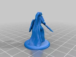 Elf blood paladin