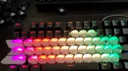 Mechanical Keyboard Fishcaps