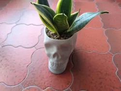 Skull Vase to Skull Planter mod kit