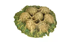 Alien Eggs V2