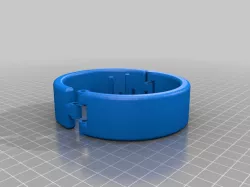 ankle