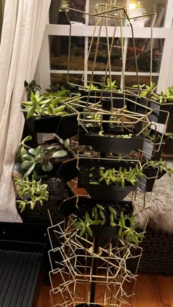 Postcard Rack Planter