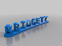 bridgett dual word