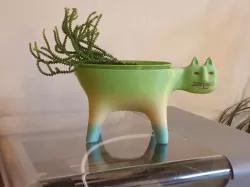Cat Pot