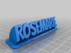 My Customized Sweeping 2-line name plate (text)