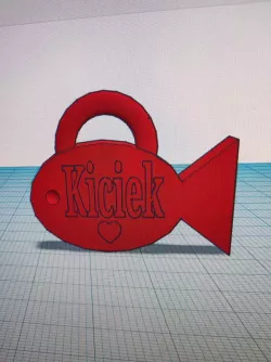 nametag for cat