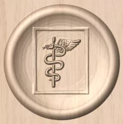 Ops medic insignia
