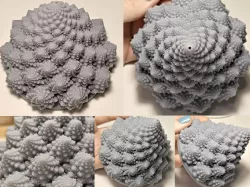 Romanesco broccoli (fractal broccoflower)