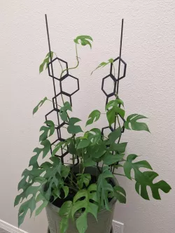 Modular hex trellis