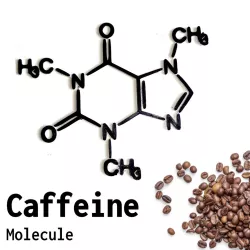 Caffeine Molecule