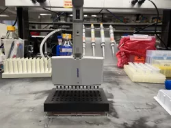 CFU Spot Plating Multichannel Guide