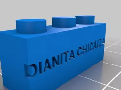 DIANITA CHICAIZA