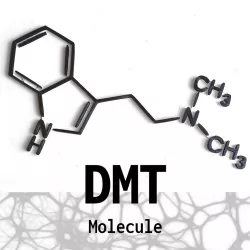 DMT Molecule