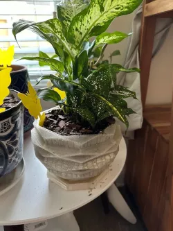 Low Poly Planter