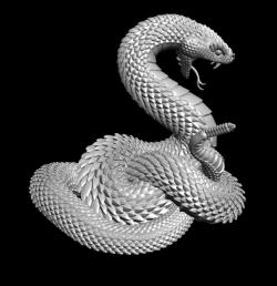 rattlesnake 3d models 【 STLFinder