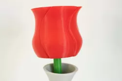 Spiral Vase Rose With modular Stem