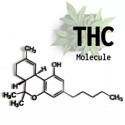 THC Molecule