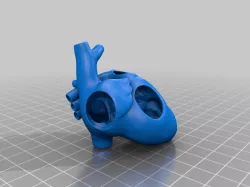 anatomical heart holed modified dual color